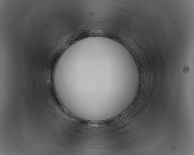 X0000091010706200708021406