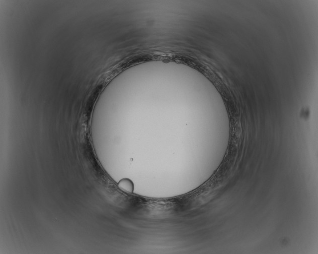 X0000091010707200708021406