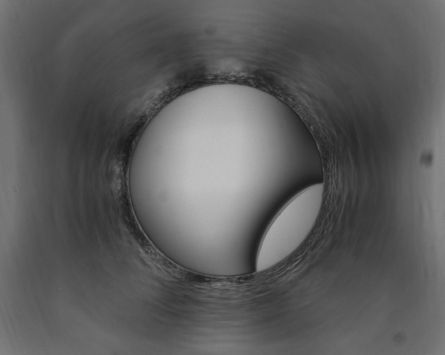 X0000091010708200708021406