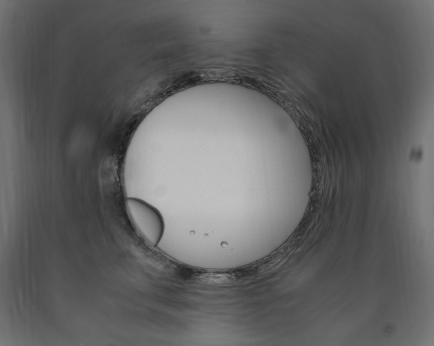X0000091010711200708021406