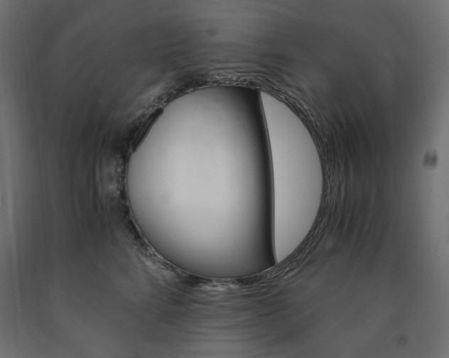X0000091010712200708021406