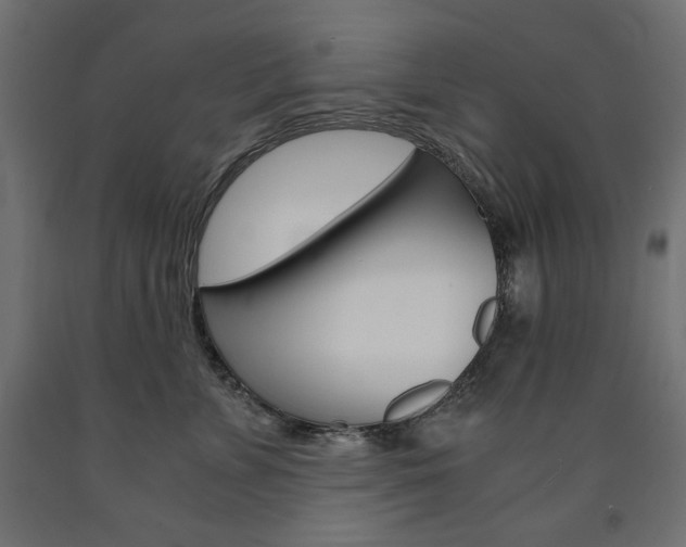 X0000091010715200708021406