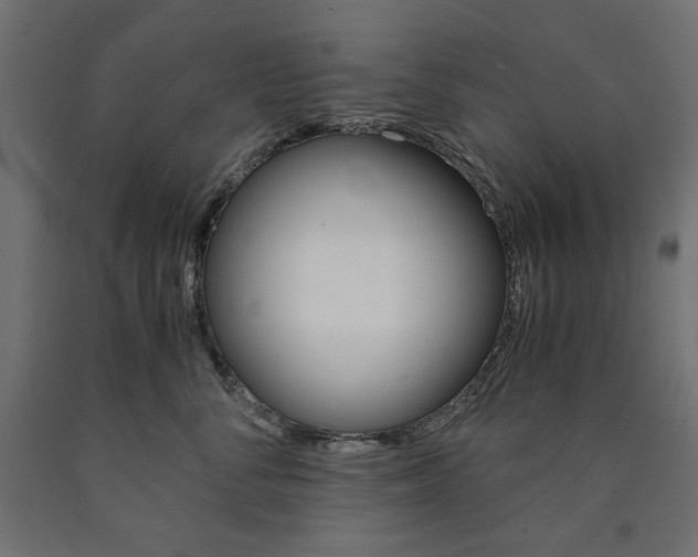 X0000091010716200708021406