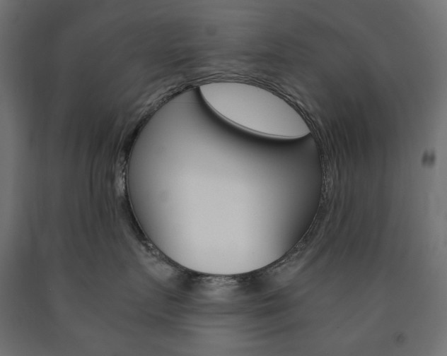X0000091010719200708021406