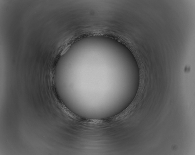 X0000091010720200708021406