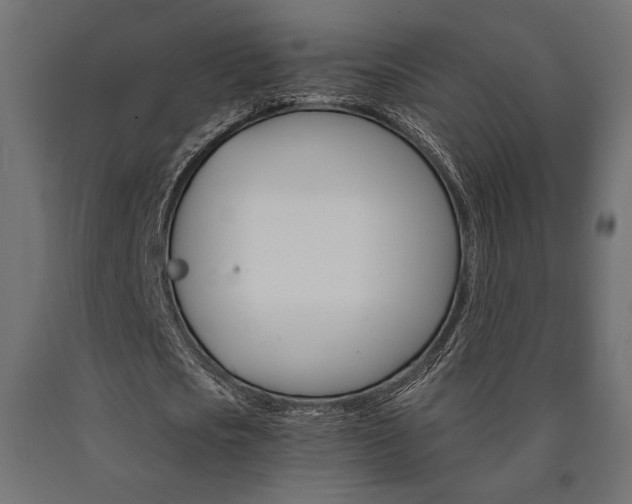 X0000091010721200708021405