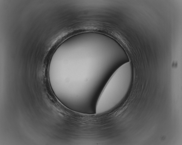 X0000091010723200708021405