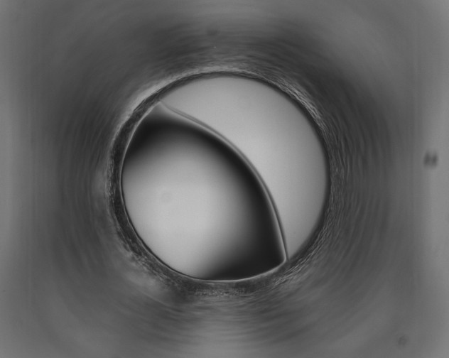 X0000091010724200708021405