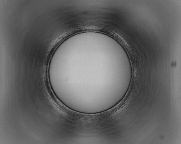X0000091010725200708021405