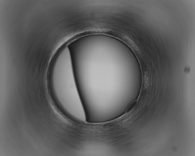 X0000091010726200708021405