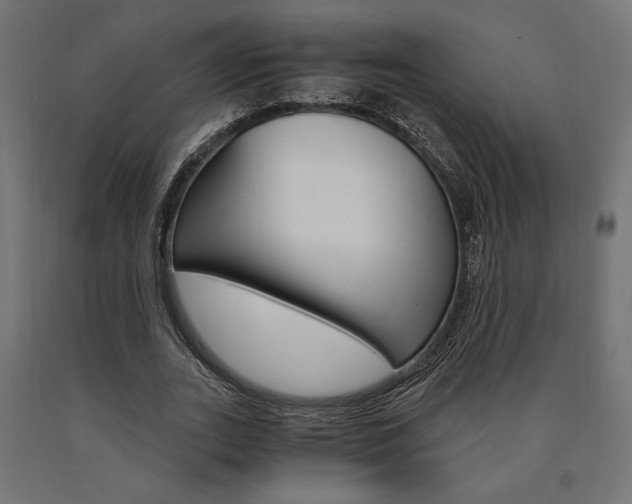 X0000091010727200708021405