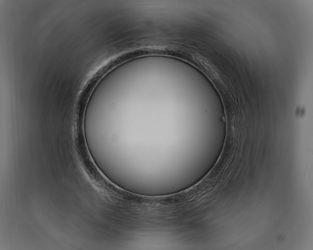 X0000091010728200708021405