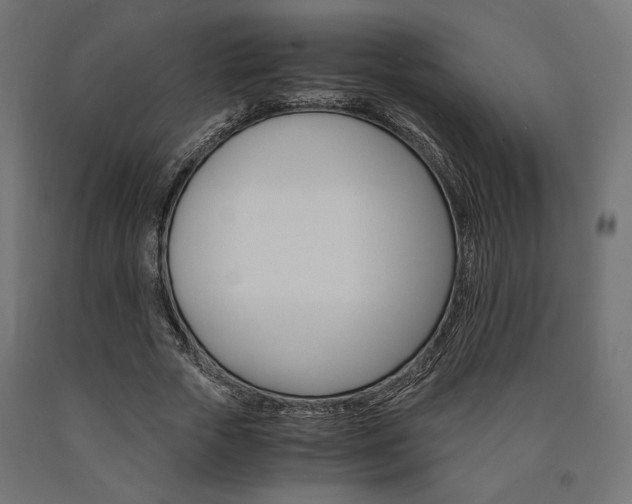 X0000091010729200708021405