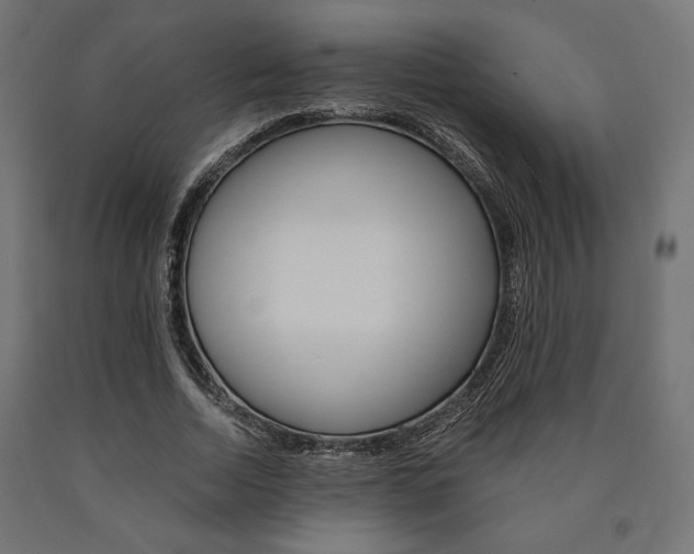 X0000091010730200708021405