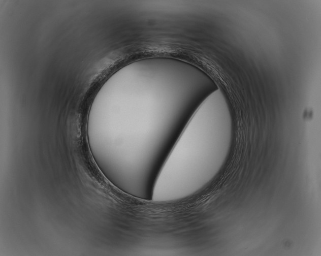 X0000091010731200708021405