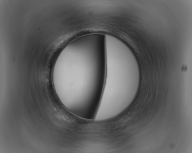 X0000091010732200708021406