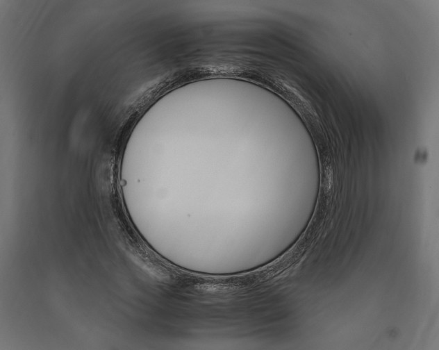 X0000091010733200708021406