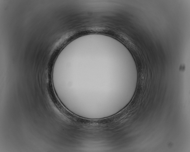 X0000091010734200708021406