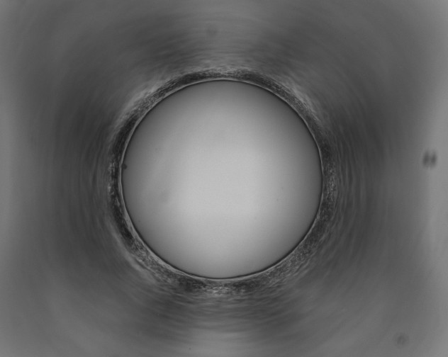 X0000091010736200708021406