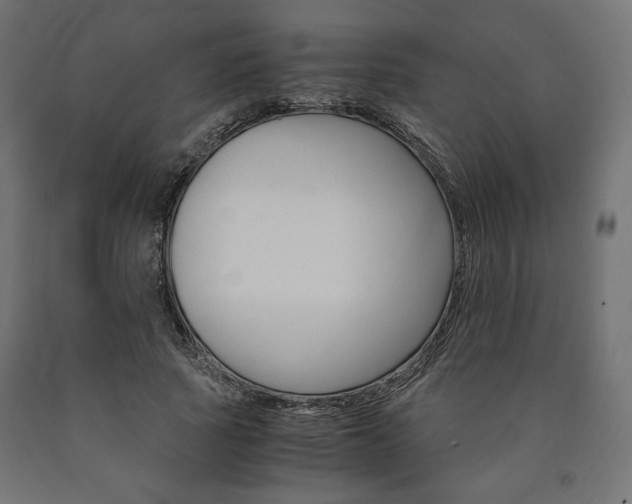 X0000091010737200708021406