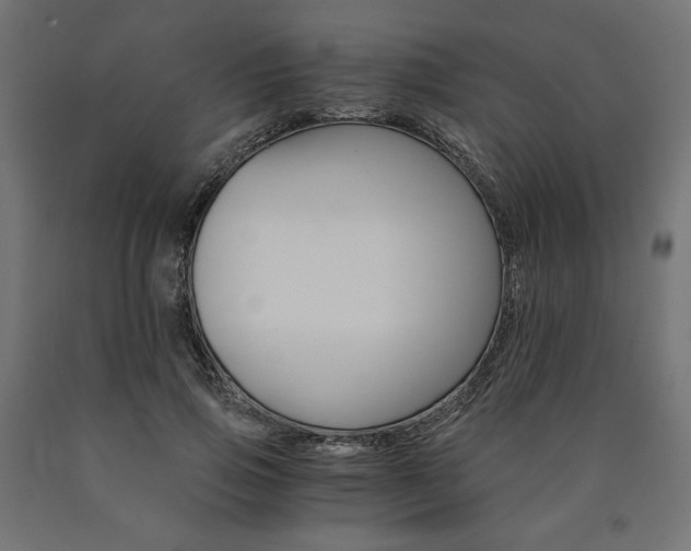 X0000091010741200708021406