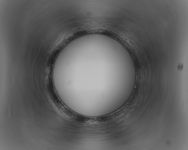 X0000091010742200708021406