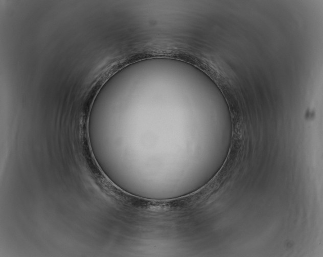 X0000091010744200708021406
