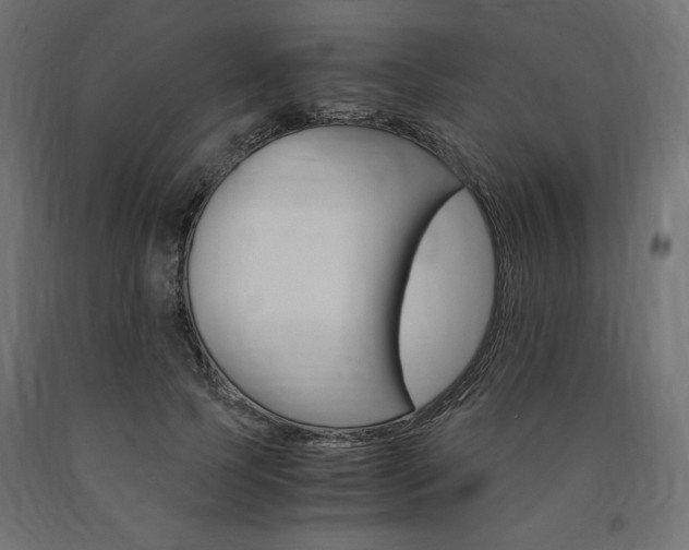 X0000091010745200708021406