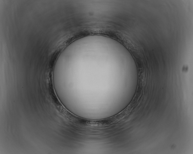 X0000091010746200708021406
