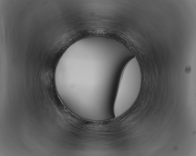 X0000091010747200708021406