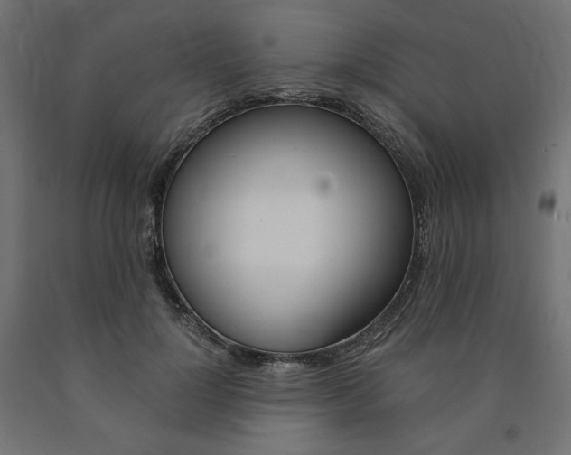 X0000091010748200708021406