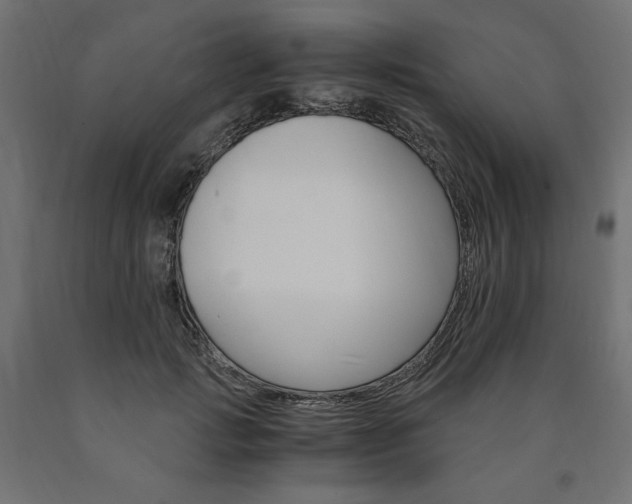 X0000091010749200708021406