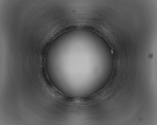 X0000091010750200708021406