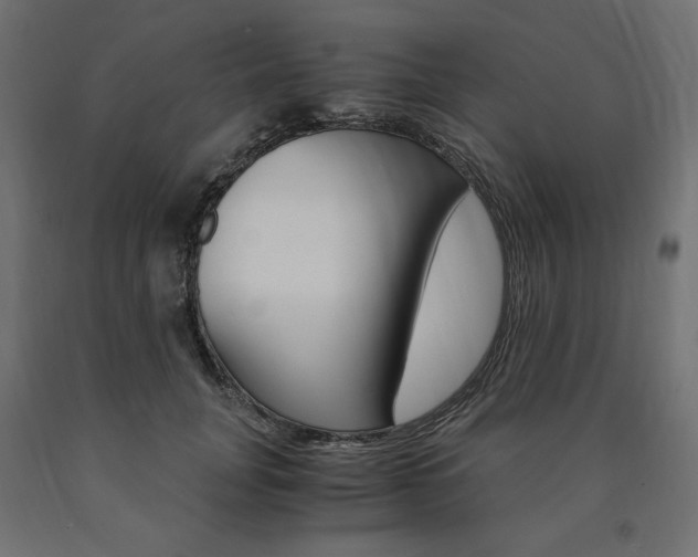 X0000091010751200708021406
