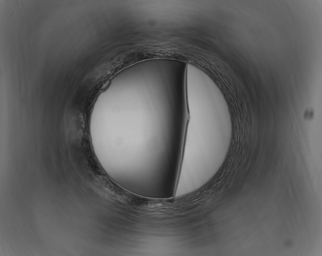 X0000091010752200708021406