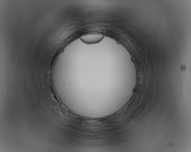 X0000091010753200708021406