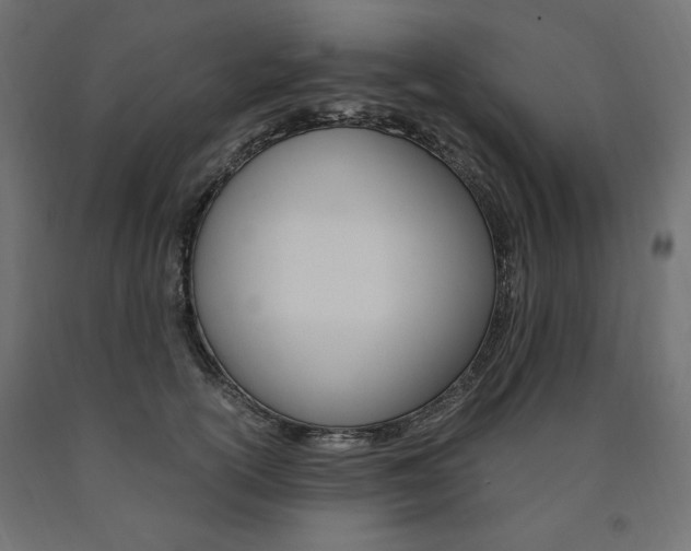 X0000091010754200708021406
