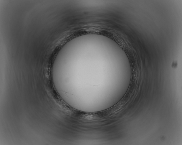 X0000091010755200708021406