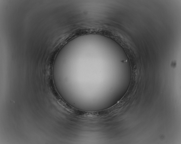 X0000091010756200708021406
