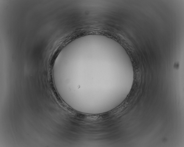 X0000091010757200708021406