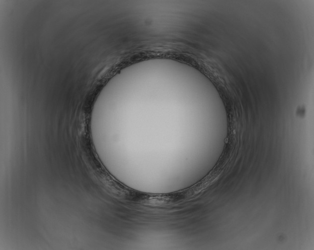 X0000091010758200708021406