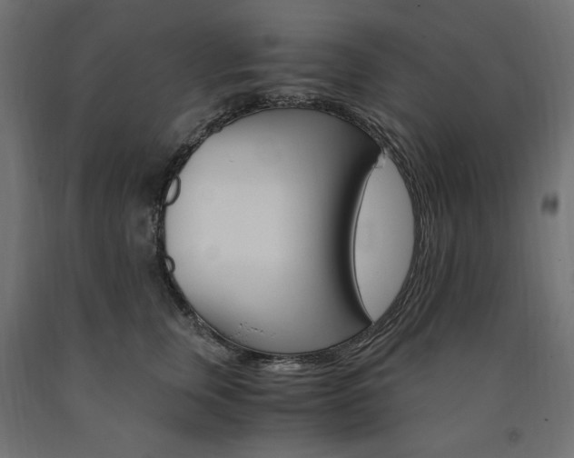 X0000091010759200708021406