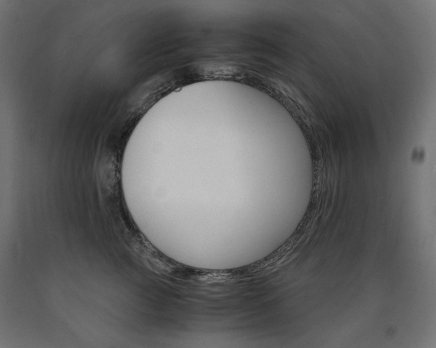 X0000091010761200708021406