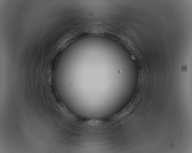X0000091010762200708021406