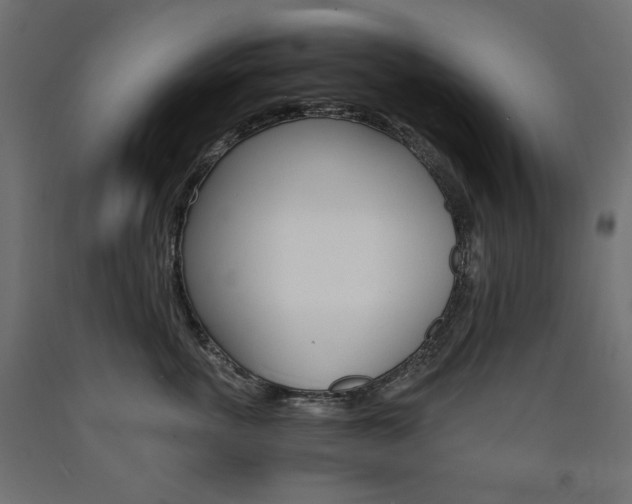 X0000091010763200708021406