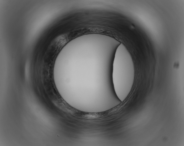 X0000091010765200708021406
