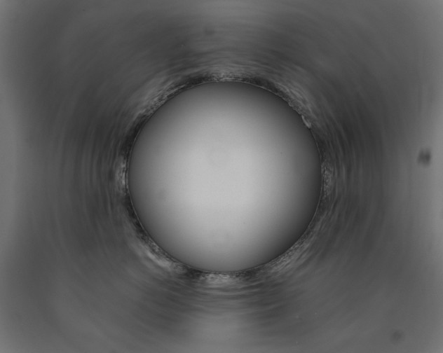 X0000091010766200708021406