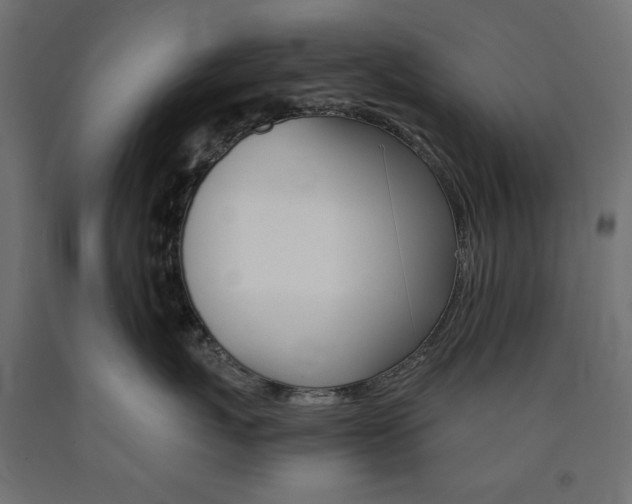 X0000091010767200708021406