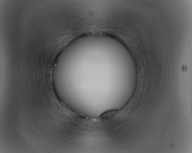X0000091010768200708021406