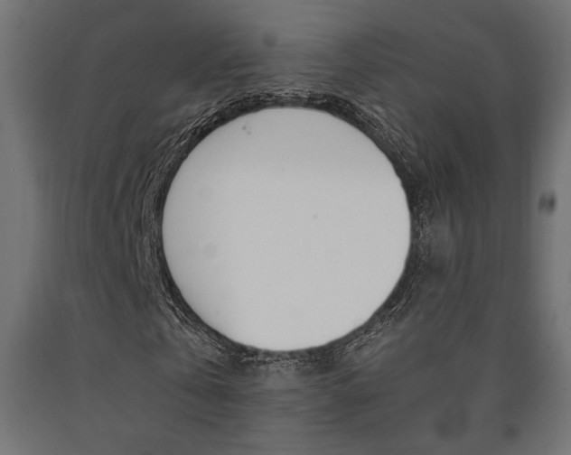 X0000091010769200708021405